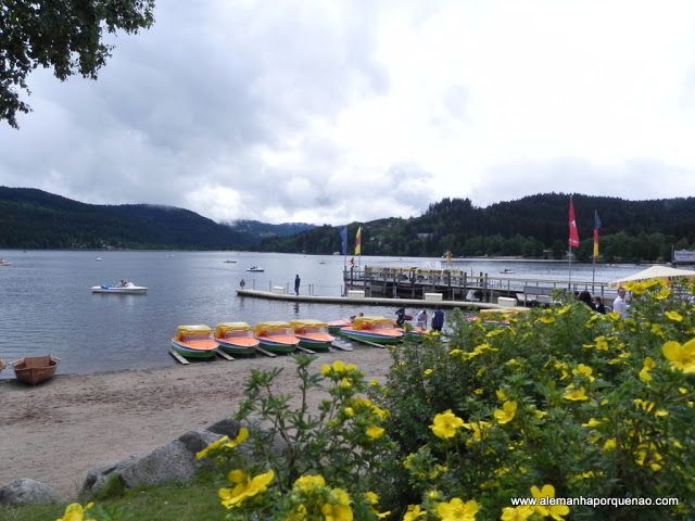 LO MEJOR DE ALEMANIA Y PRAGA